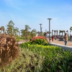 Dumas Sea Face Masterplan by INI Design Studio