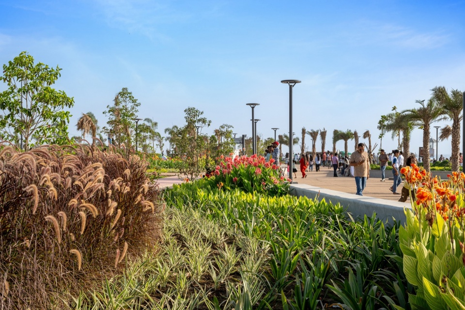 观赏草花境 / ornamental grass beds