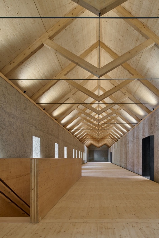 如树冠般展开的木屋架,Timber roof trusses evoking a canopy