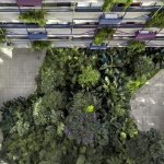 Floresta住宅，圣保罗 / MMBB Arquitetos + Rodrigo Oliveira Paisagismo