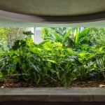 Floresta住宅，圣保罗 / MMBB Arquitetos + Rodrigo Oliveira Paisagismo