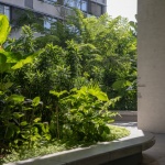 Floresta住宅，圣保罗 / MMBB Arquitetos + Rodrigo Oliveira Paisagismo