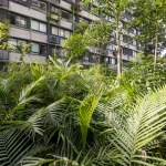 Floresta住宅，圣保罗 / MMBB Arquitetos + Rodrigo Oliveira Paisagismo