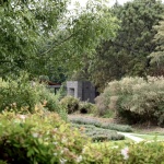Forest Training Pavilion by Garcia de Alba + Ponce Arquitectos