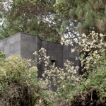 Forest Training Pavilion by Garcia de Alba + Ponce Arquitectos