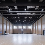 阜宁文体中心，盐城 / 东南大学建筑设计研究院有限公司