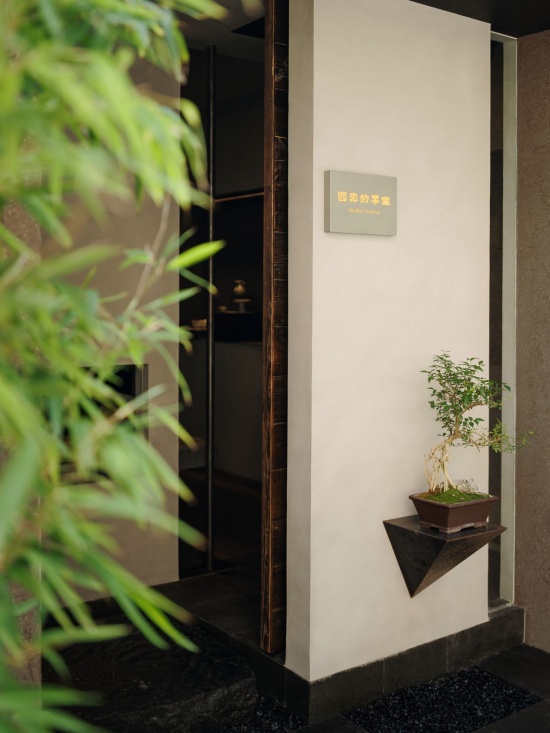 茶庭小径与竹