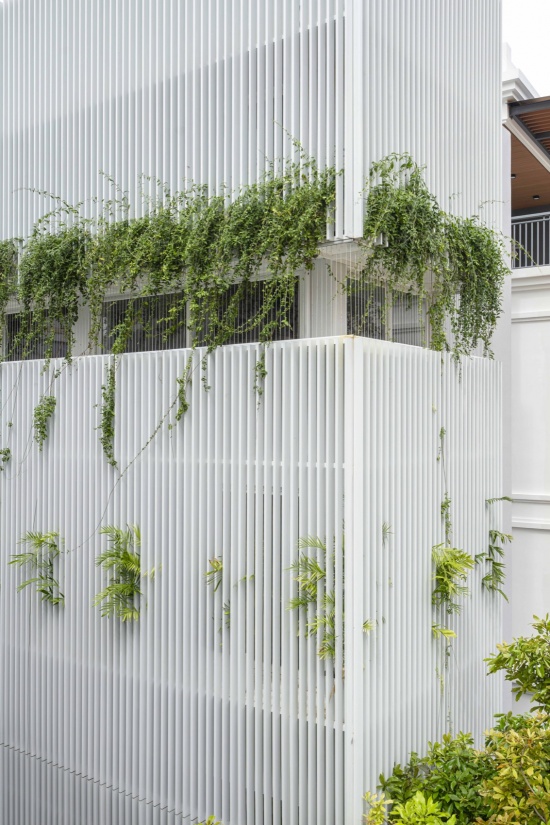 白色百叶与垂落的绿植 / White louvers and cascading greenery