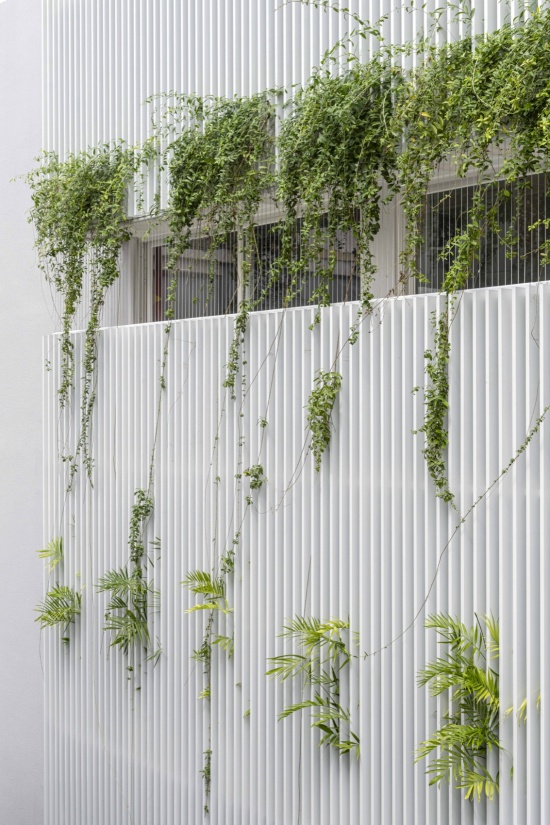 被绿植柔化的百叶立面 / The louvred façade softened by greenery