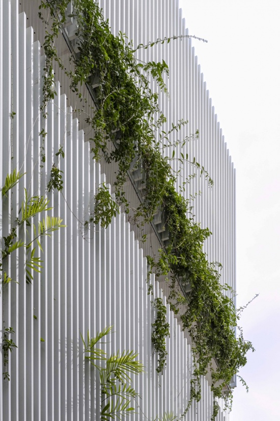绿植与竖向百叶 / Greenery and vertical louvers