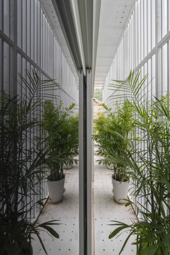 百叶与窗户之间的种植空间 / Planting space between louvers and windows