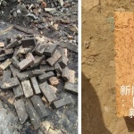 杭州罐头厂建筑景观一体化更新 / R.A.U.M.径合间