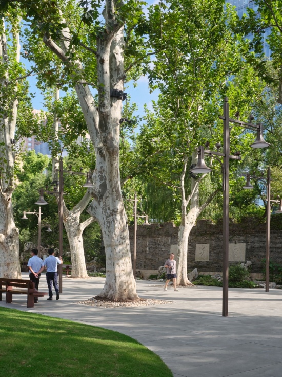 古树复壮,Ancient Tree Rejuvenation