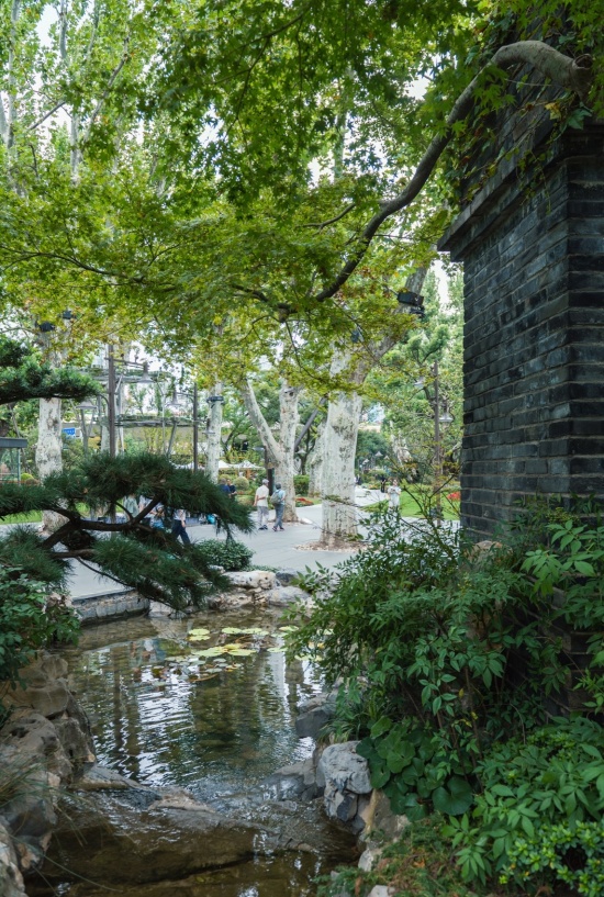 八景园水系焕活,Revitalization of the Eight Scenic Views Garden Water System