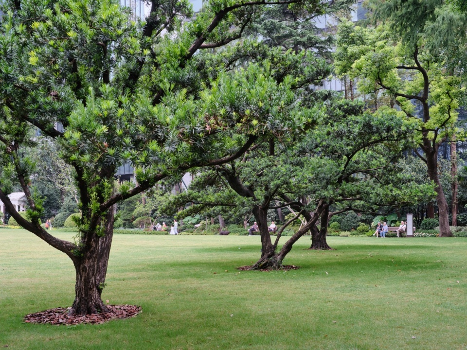 东园大草坪,The Great Lawn in the East Garden
