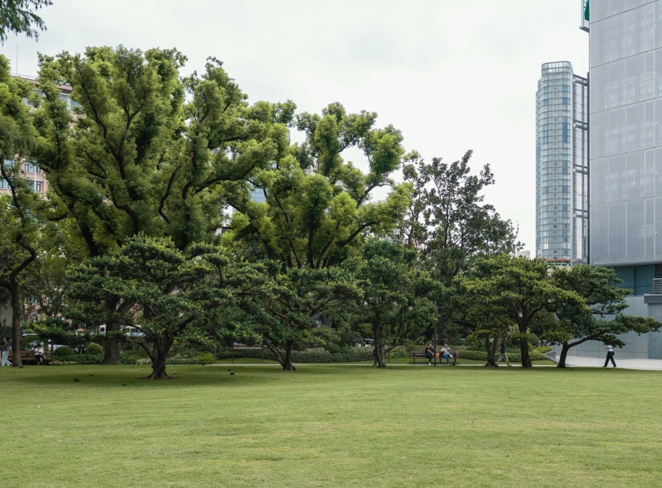 东园大草坪望向延安路,View toward Yan’an Middle Road from the East Garden’s Great Lawn