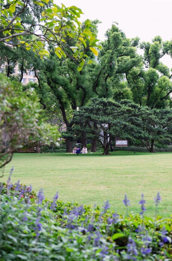 大草坪野餐,Picnicking on the Great Lawn