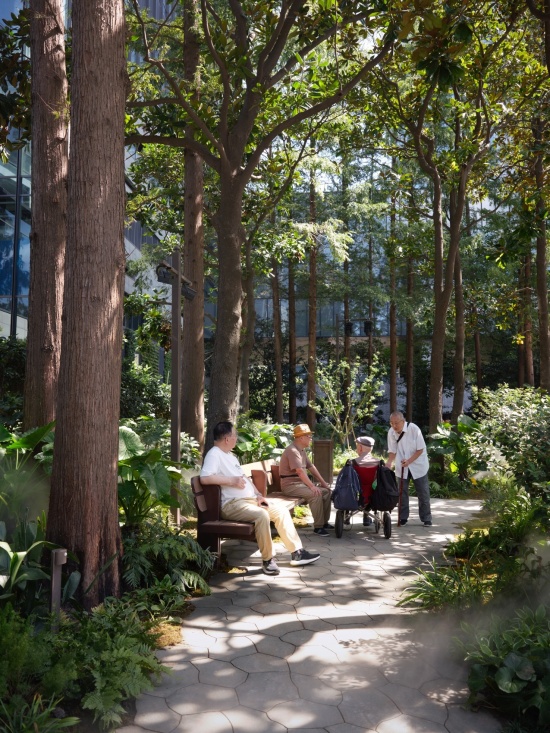 蕨类花园中小聚畅谈,Conversations in the Fern Garden