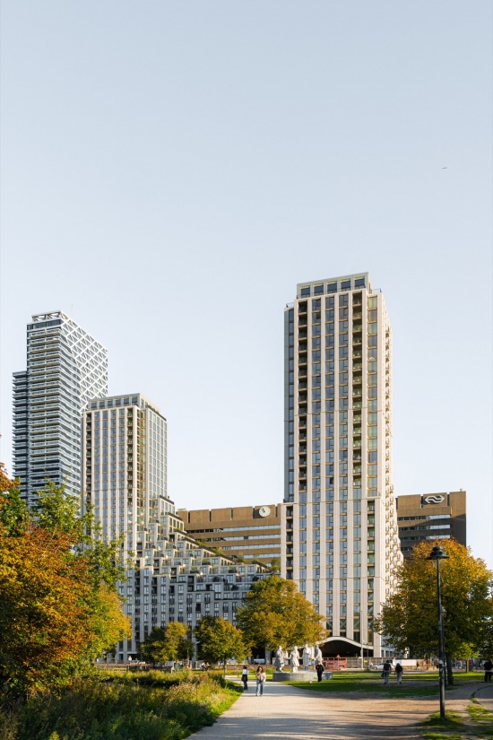 从公园望向双塔 / Twin towers viewed from the park