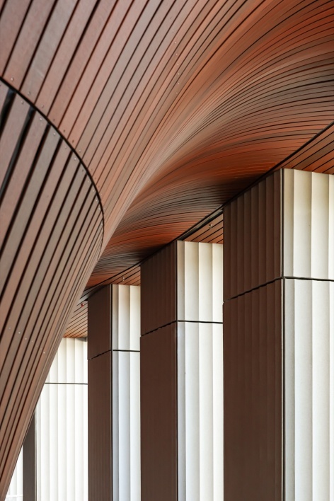 木质天花的曲面细部 / Curved timber ceiling detail