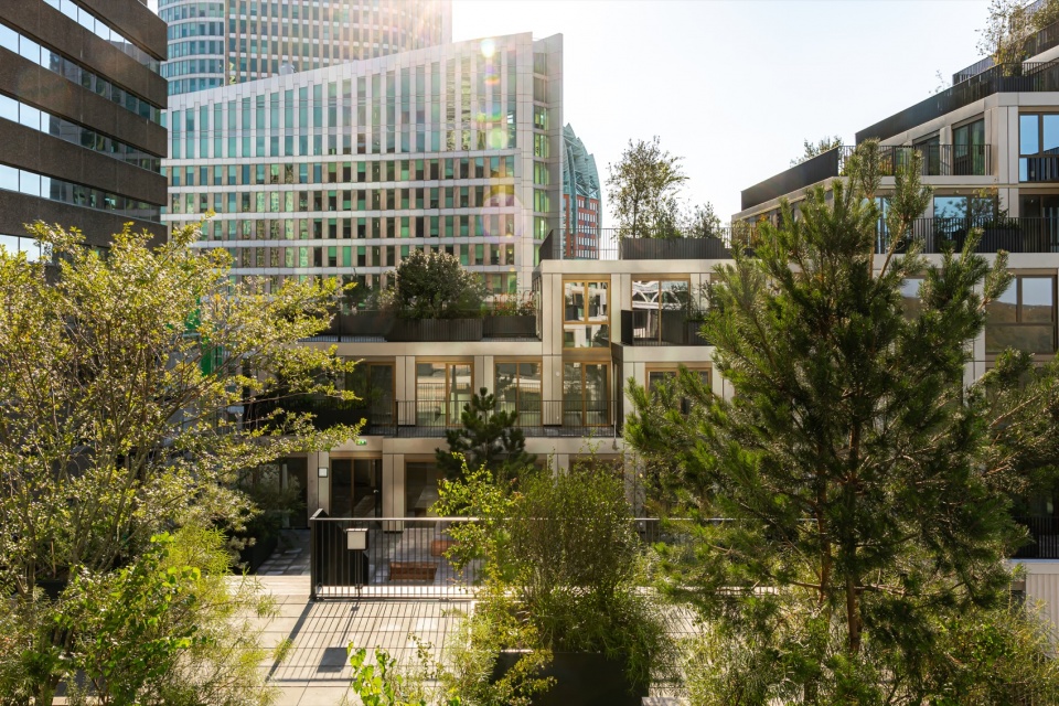 塔楼之间的公共露台 / Communal terraces between the towers