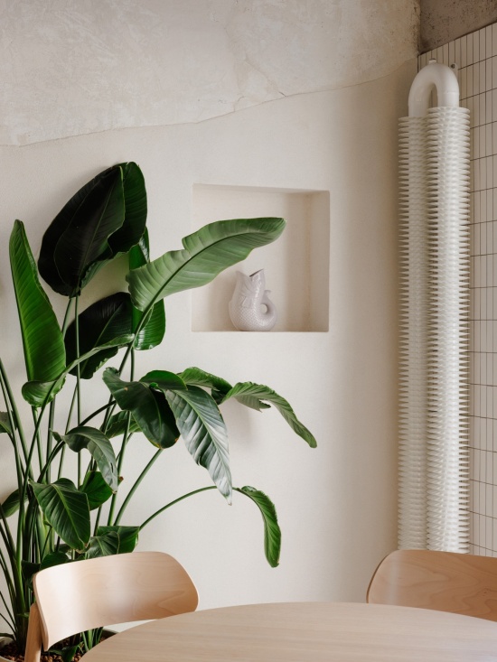 绿植细部 / Greenery detail
