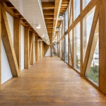 Konya Square Houses and Bicycle Museum by Yalın Architectural Design and SCRA Architecture