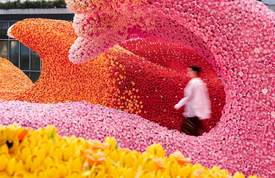 走入花浪之间 / Walking among the floral waves