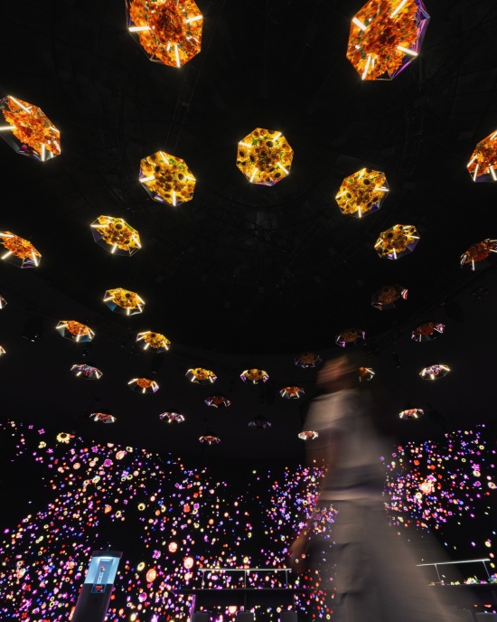 实体花卉与数字投影 / Physical flowers and digital projection