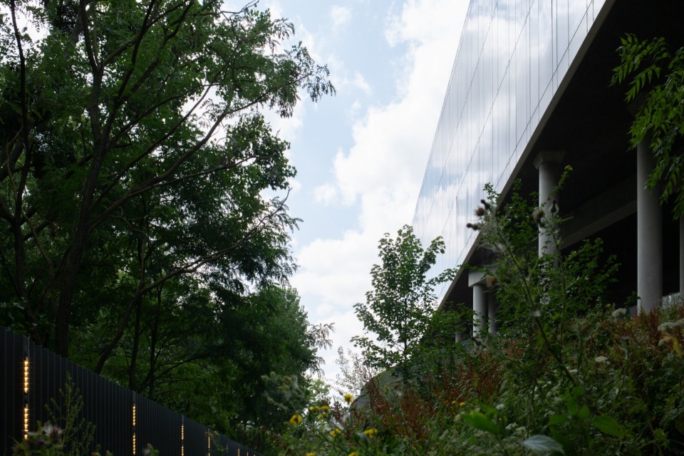 透过树林看建筑 / The building seen through the trees