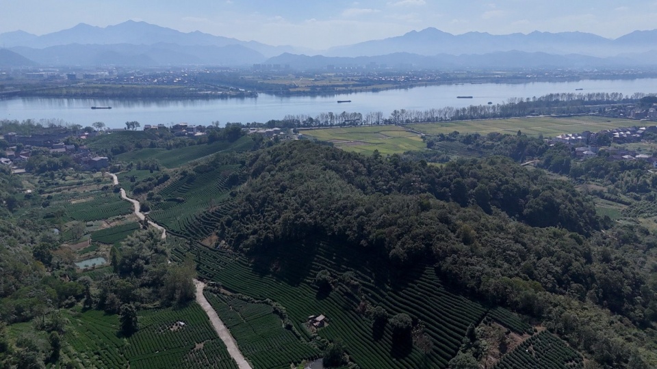 鸟瞰茶亭与富春江 / Aerial view with Fuchun River