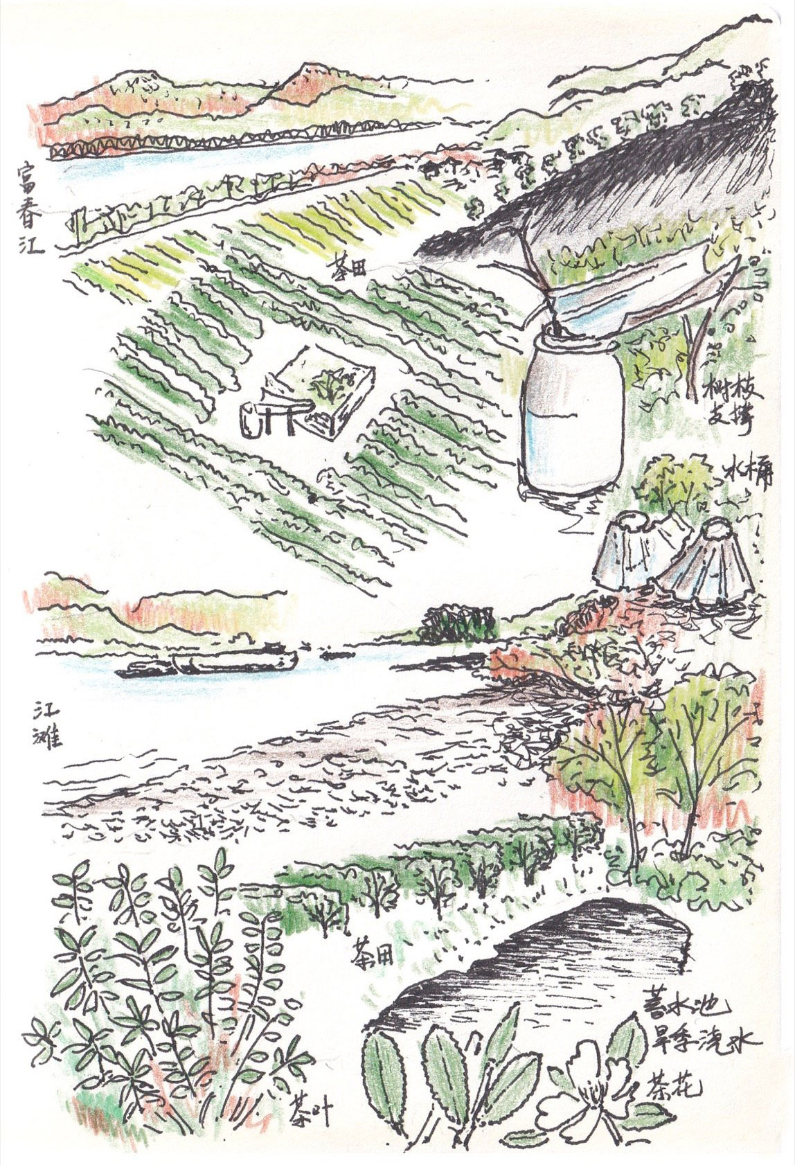 longjing tea pavilion 04 nvf