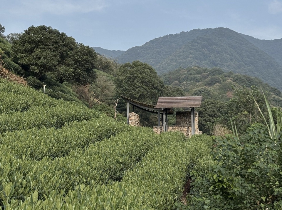 茶亭东立面 / East elevation