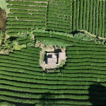 龙井茶亭，杭州 / 陆少波建筑工作室