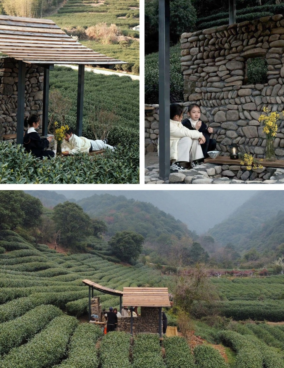 茶亭的活动 / Activities at the pavilion