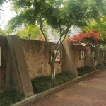 The Winding Valley on Campus – Liyang No.6 Middle School Phase II Construction Project by ATA Studio