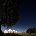 Monte Alvo住宅，葡萄牙 / NOZ Arquitectura