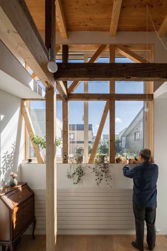 阁楼与盆栽 / the loft with potted plants