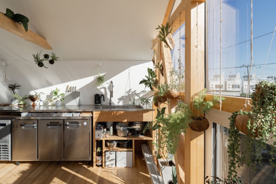 温室厨房 / the greenhouse kitchen