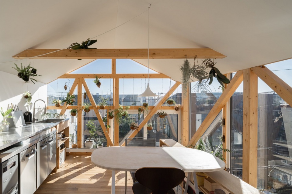 温室厨房餐厨区 / dining area of the greenhouse kitchen