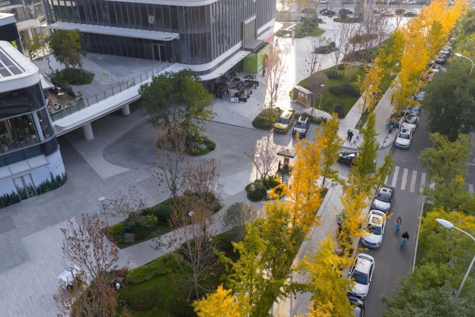 自然斑块融入城市街道
