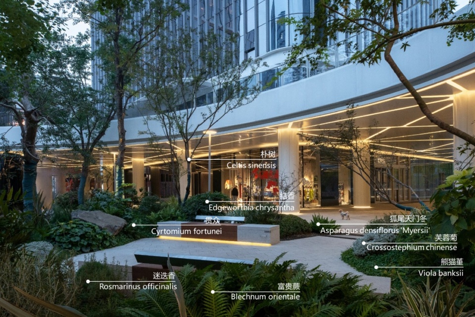 内街植物设计