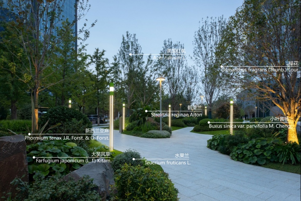 外街植物设计