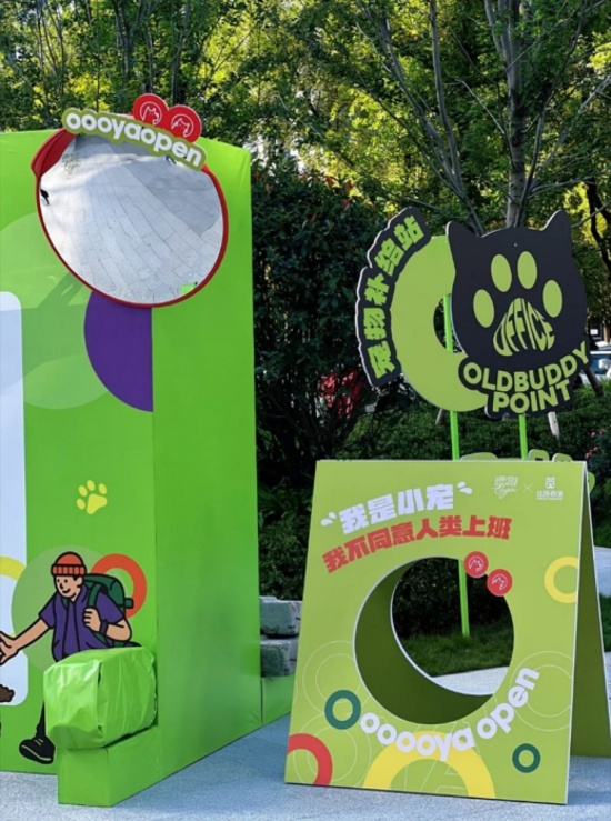 宠物友好互动装置