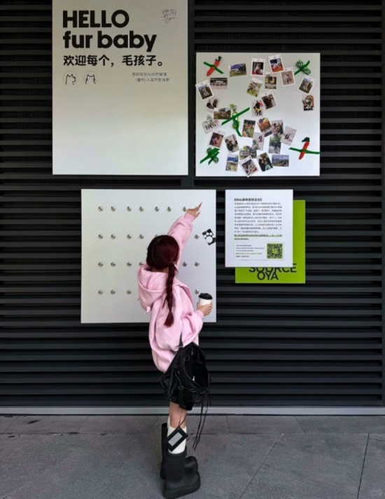 宠物互动墙