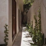 叶下庇护所酒店，坎佩切 / Punto Arquitectónico + Paolo Sarra Estudio