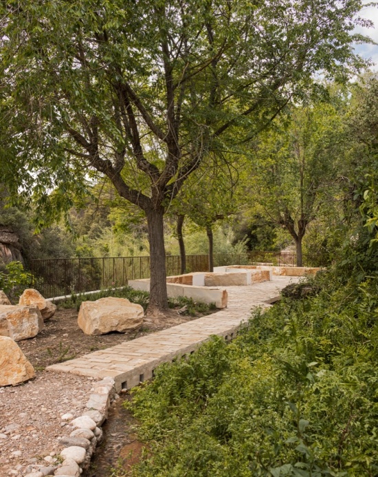 坐凳与乡土植物种植带 / Bench and native planting