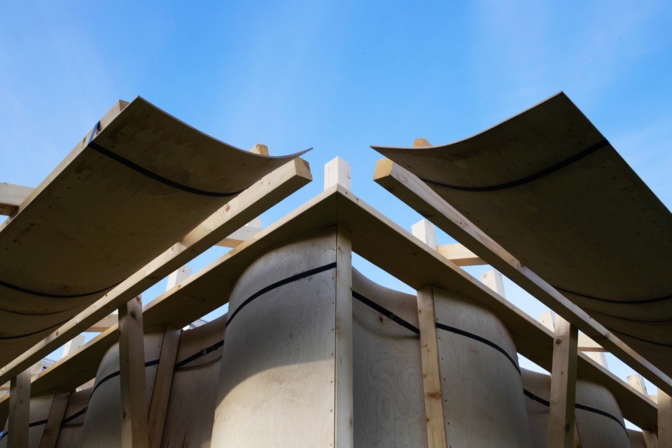 仰望弯曲的胶合板曲面 / Looking up at the curved plywood surfaces