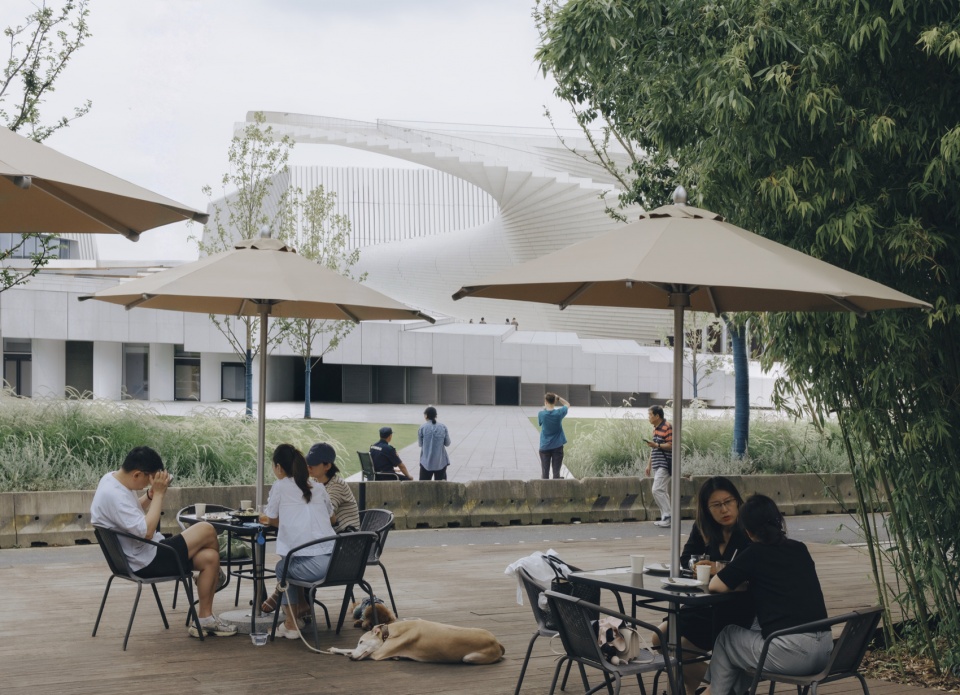 公园中的日常活动,Everyday life in the park