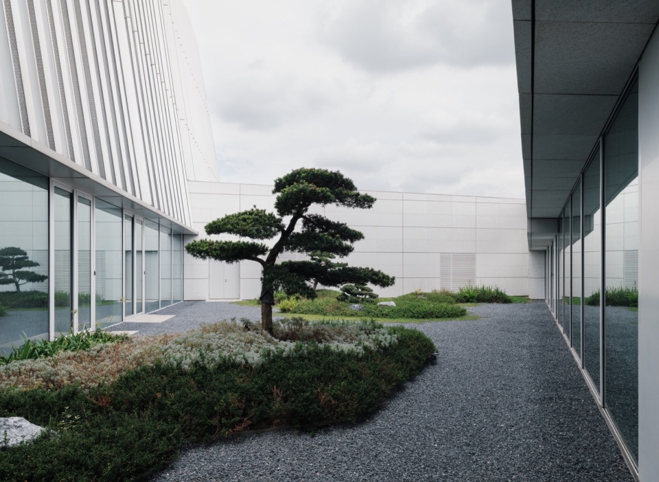 庭院景观,Courtyard landscape